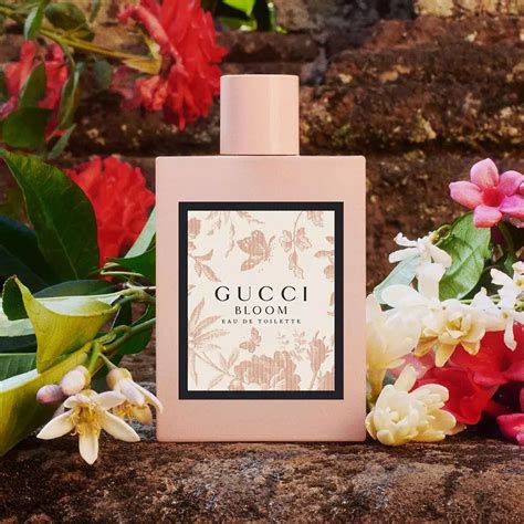 gucci bloom purple|gucci bloom fragrantica.